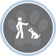 Dog Trainer Columbus Ohio | Board & Train at Marcum K9